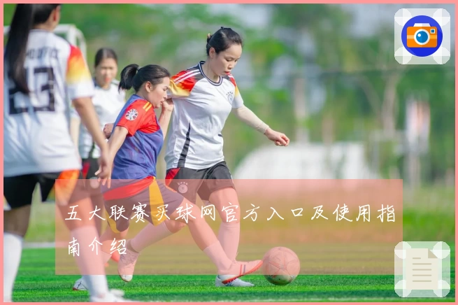 五大联赛买球网官方入口及使用指南介绍