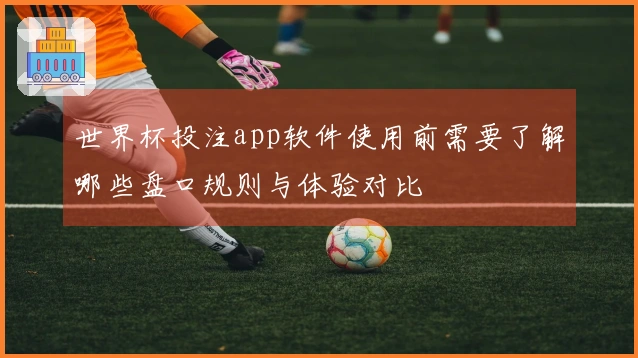 世界杯投注app软件使用前需要了解哪些盘口规则与体验对比