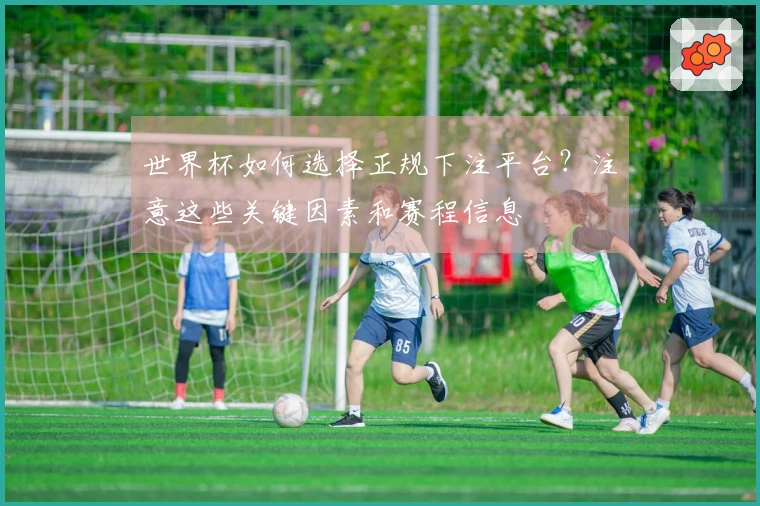 世界杯如何选择正规下注平台?注意这些关键因素和赛程信息