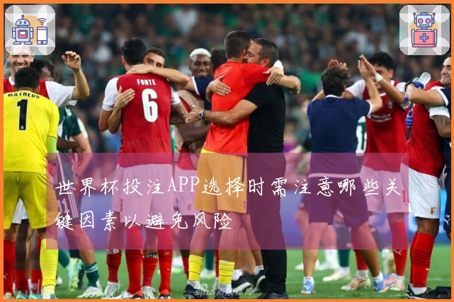 世界杯投注APP选择时需注意哪些关键因素以避免风险