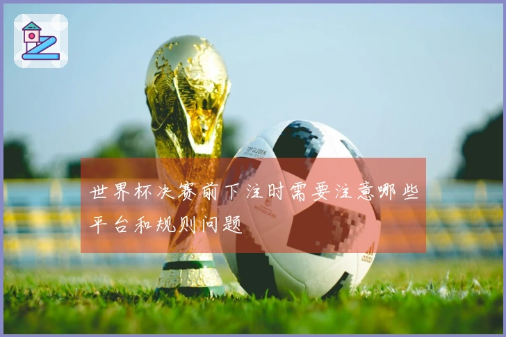 世界杯决赛前下注时需要注意哪些平台和规则问题