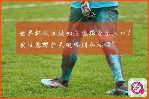 世界杯投注站如何选择合法入口？要注意哪些关键规则和流程？