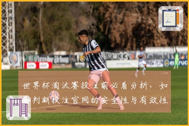世界杯淘汰赛投注前必看分析,如何判断投注官网的安全性与有效性