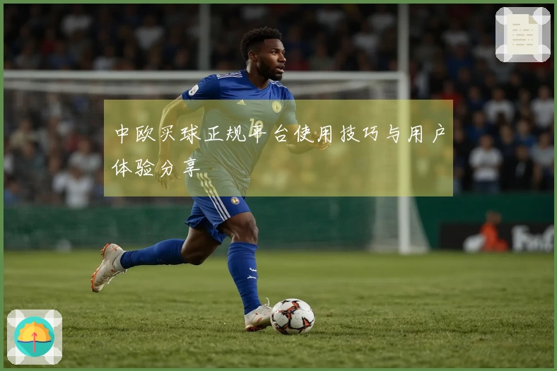 中欧买球正规平台使用技巧与用户体验分享