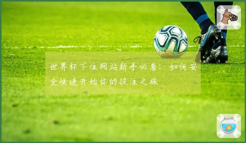 世界杯下注网站新手必看：如何安全快速开始你的投注之旅
