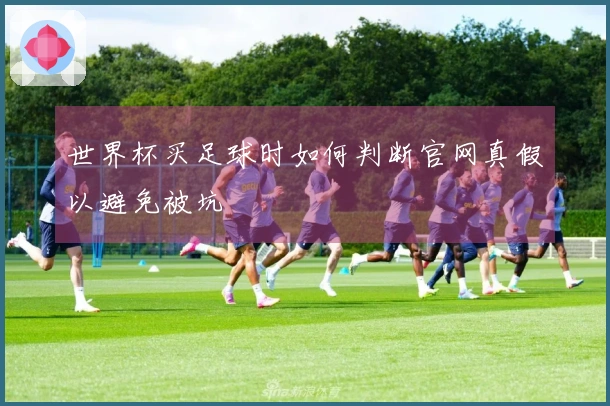 世界杯买足球时如何判断官网真假以避免被坑