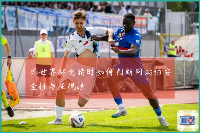 买世界杯竞猜时如何判断网站的安全性与正规性