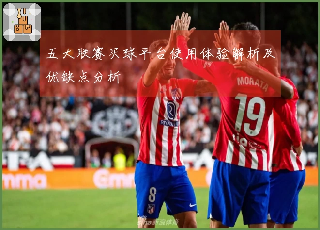 五大联赛买球平台使用体验解析及优缺点分析