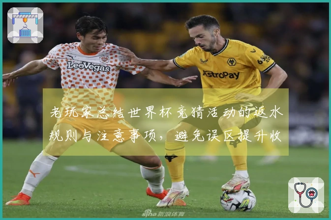 老玩家总结世界杯竞猜活动的返水规则与注意事项，避免误区提升收益
