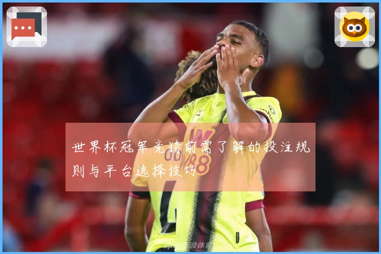 世界杯冠军竞猜前需了解的投注规则与平台选择技巧