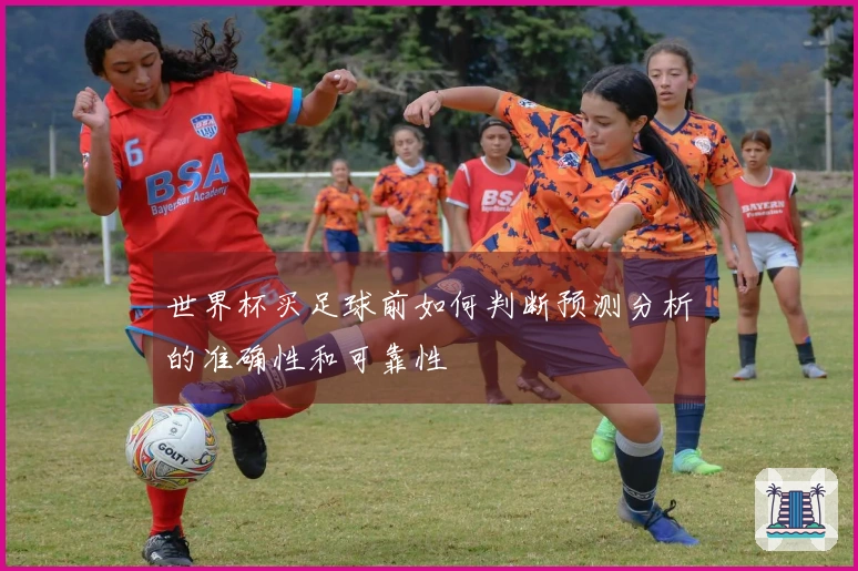 世界杯买足球前如何判断预测分析的准确性和可靠性