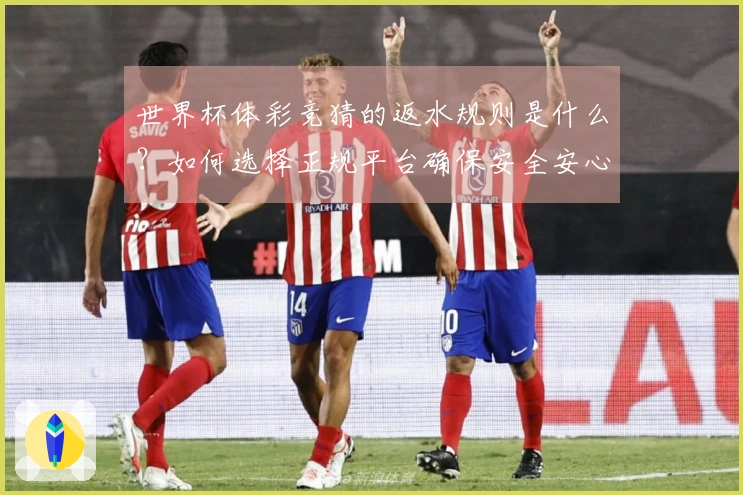世界杯体彩竞猜的返水规则是什么?如何选择正规平台确保安全安心?