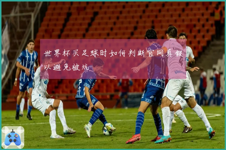 世界杯买足球时如何判断官网真假以避免被坑