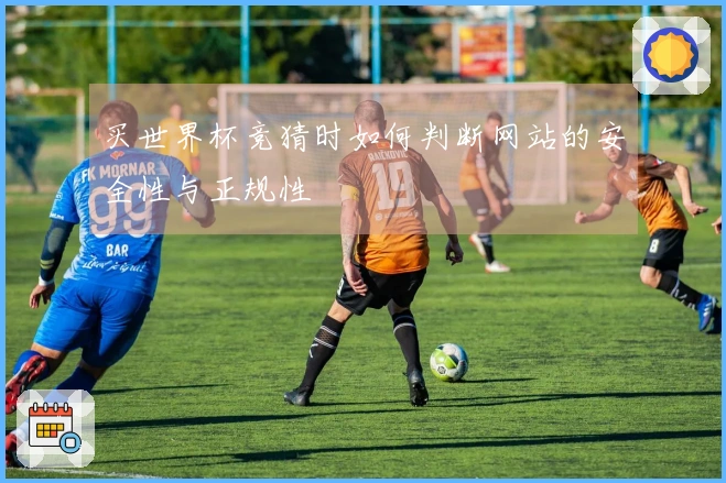 买世界杯竞猜时如何判断网站的安全性与正规性