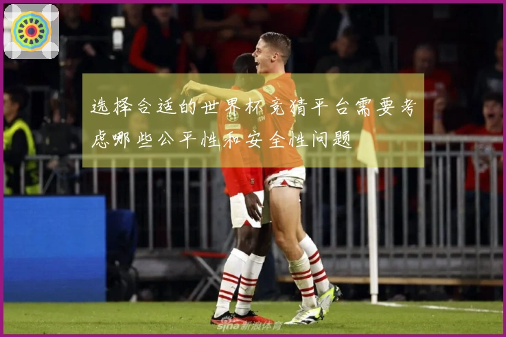 选择合适的世界杯竞猜平台需要考虑哪些公平性和安全性问题