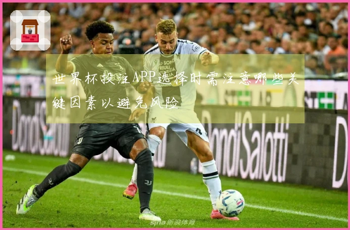 世界杯投注APP选择时需注意哪些关键因素以避免风险