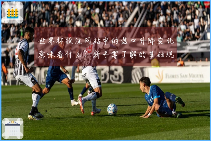 世界杯投注网站中的盘口升降变化意味着什么?新手需了解的基础规则解析