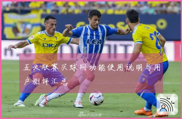 五大联赛买球网功能使用说明与用户测评汇总