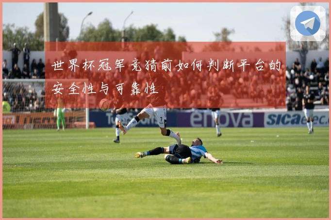 世界杯冠军竞猜前如何判断平台的安全性与可靠性
