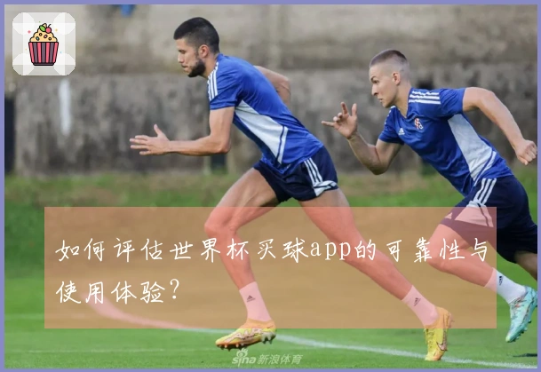 如何评估世界杯买球app的可靠性与使用体验？