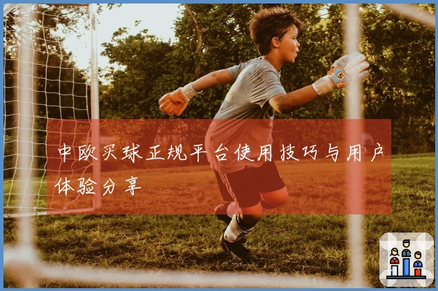 中欧买球正规平台使用技巧与用户体验分享