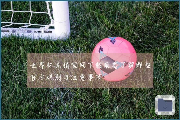 世界杯竞猜官网下载前需了解哪些官方规则与注意事项