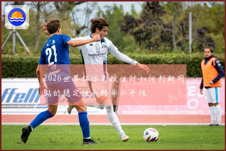 2026世界杯体彩投注时如何判断网站的稳定性和赔率公平性