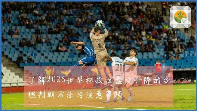 了解2026世界杯投注盘口升降的合理判断方法与注意事项