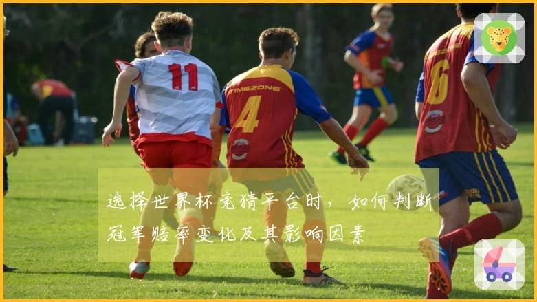选择世界杯竞猜平台时,如何判断冠军赔率变化及其影响因素