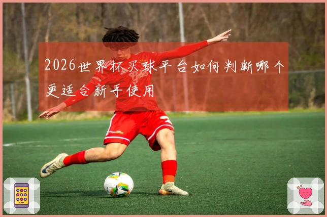 2026世界杯买球平台如何判断哪个更适合新手使用