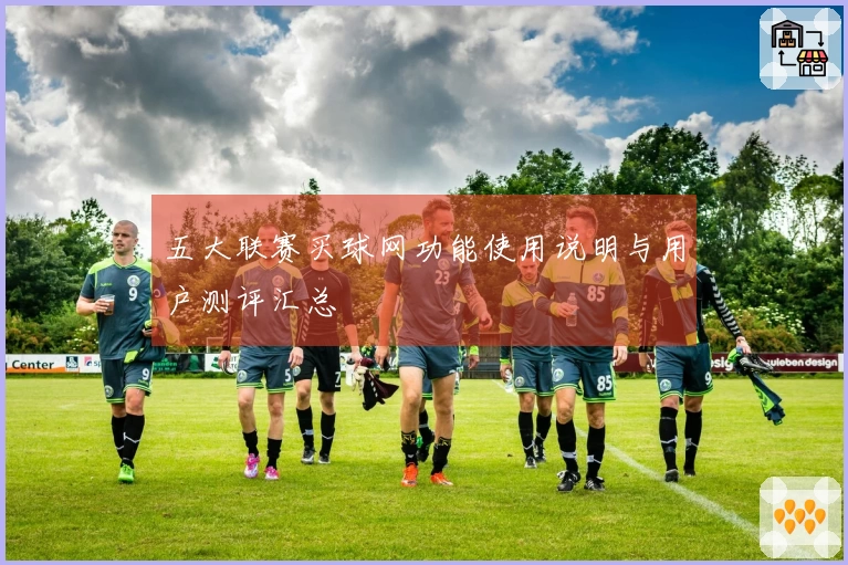 五大联赛买球网功能使用说明与用户测评汇总