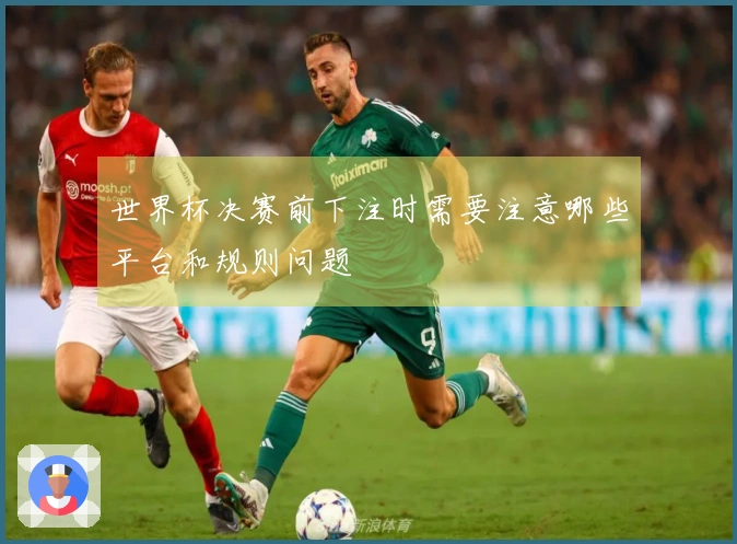 世界杯决赛前下注时需要注意哪些平台和规则问题